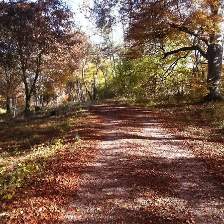 Ferienhaus Bruckner Lauterdörfle Hayingen